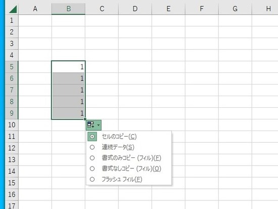 オートフィルオプション