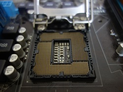 LGA1155