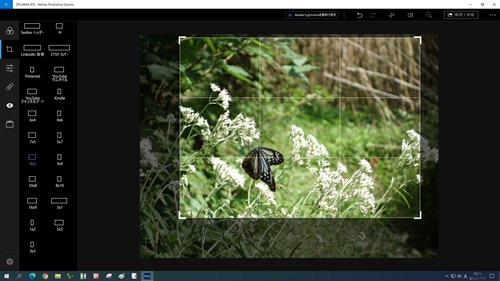 Adobe Photoshop Expressのトリミング